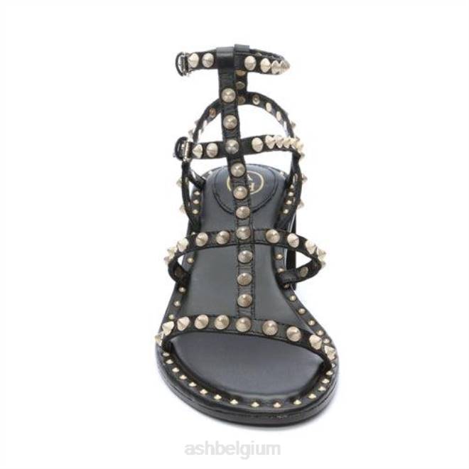 Jen sandaal met blokhak en studs vrouwen zwart sandalenASH PRRX36