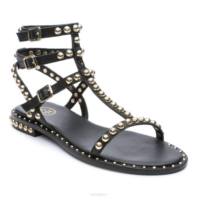 platte sandaal met studs vrouwen zwart goud sandalenASH PRRX55