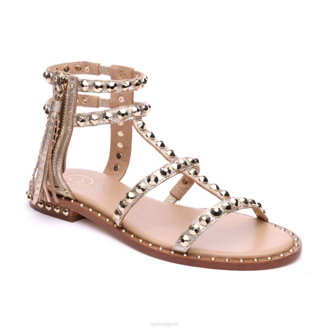 power metallic platte sandaal met studs en kwastjes vrouwen licht goud sandalenASH PRRX53