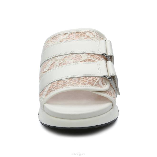 lou kanten sportsandaal vrouwen gebroken wit/gardenia-roze zout sandalenASH PRRX66