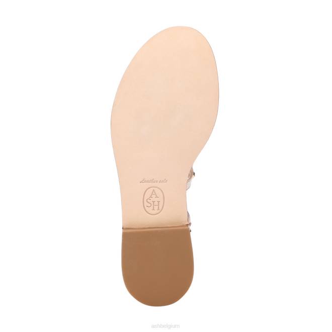 paloma gladiatorsandaal vrouwen licht goud sandalenASH PRRX81