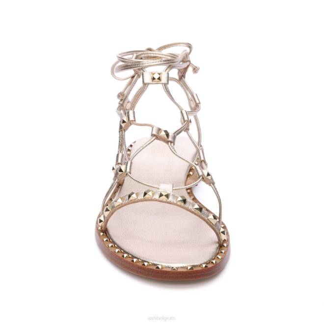 paloma gladiatorsandaal vrouwen licht goud sandalenASH PRRX81