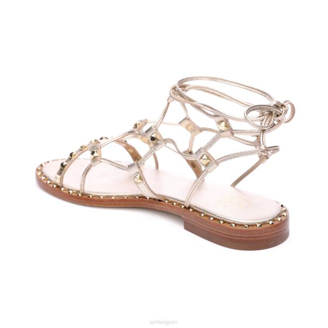 paloma gladiatorsandaal vrouwen licht goud sandalenASH PRRX81