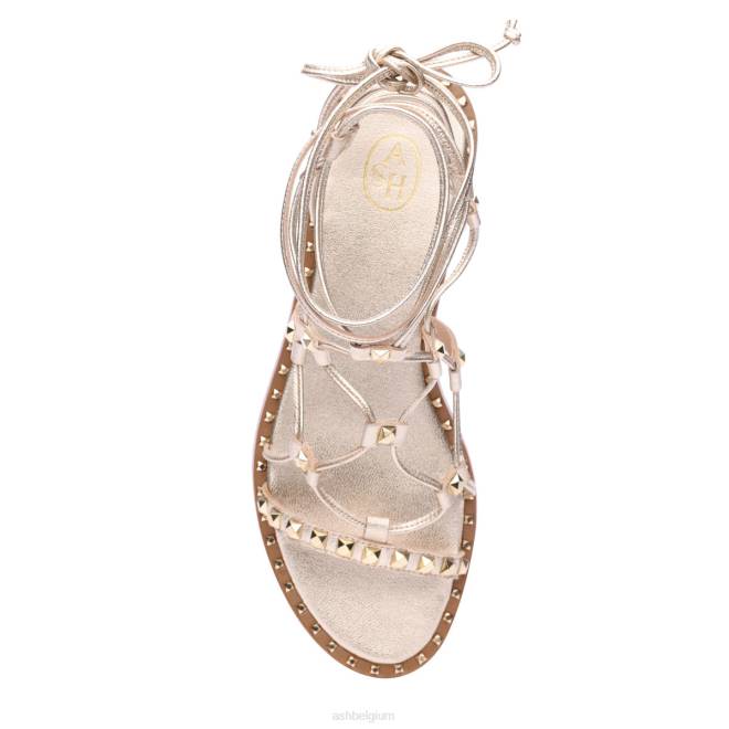 paloma gladiatorsandaal vrouwen licht goud sandalenASH PRRX81