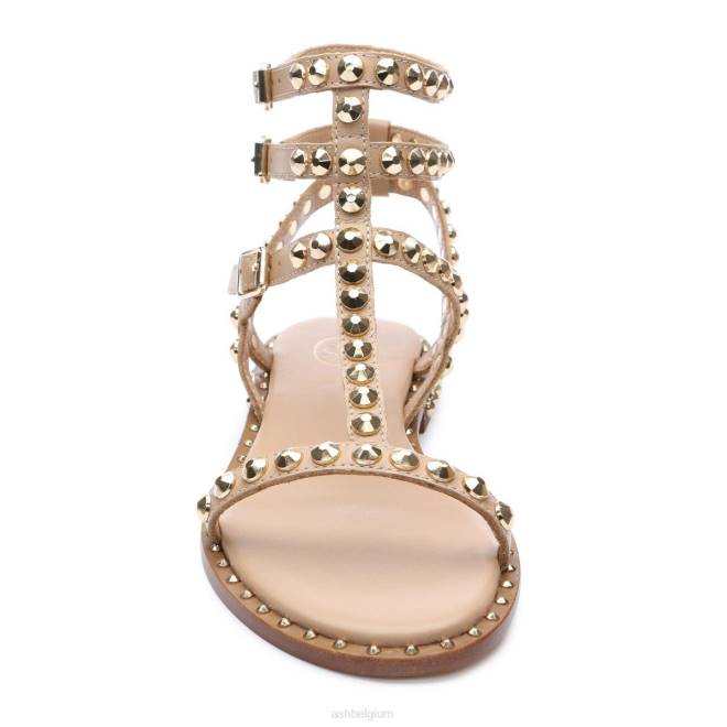 platte sandaal met studs vrouwen huid/goud sandalenASH PRRX56