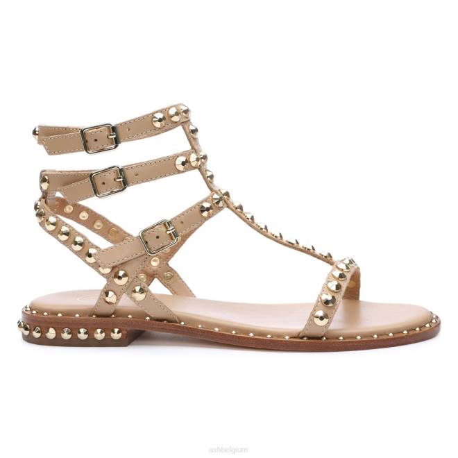 platte sandaal met studs vrouwen huid/goud sandalenASH PRRX56