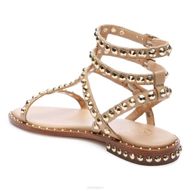 platte sandaal met studs vrouwen huid/goud sandalenASH PRRX56