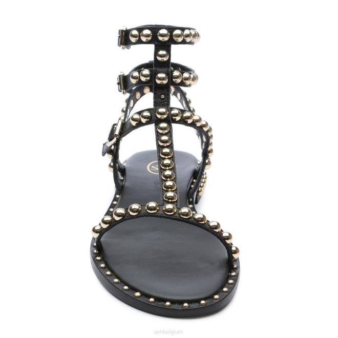 platte sandaal met studs vrouwen zwart goud sandalenASH PRRX55