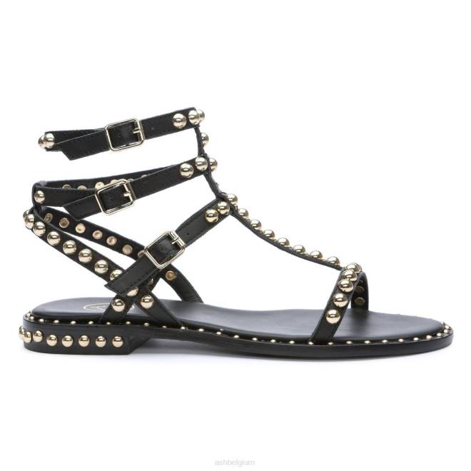 platte sandaal met studs vrouwen zwart goud sandalenASH PRRX55