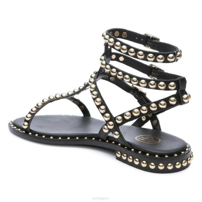 platte sandaal met studs vrouwen zwart goud sandalenASH PRRX55