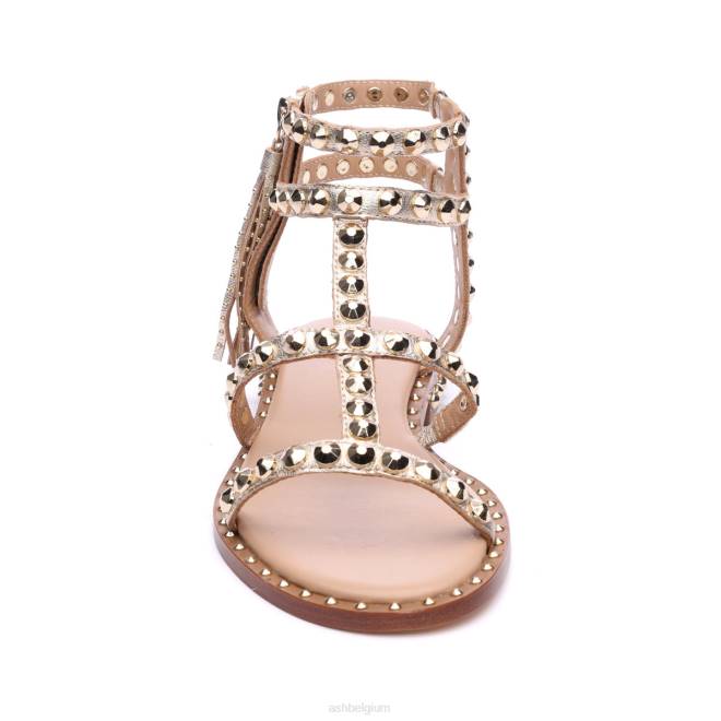 power metallic platte sandaal met studs en kwastjes vrouwen licht goud sandalenASH PRRX53