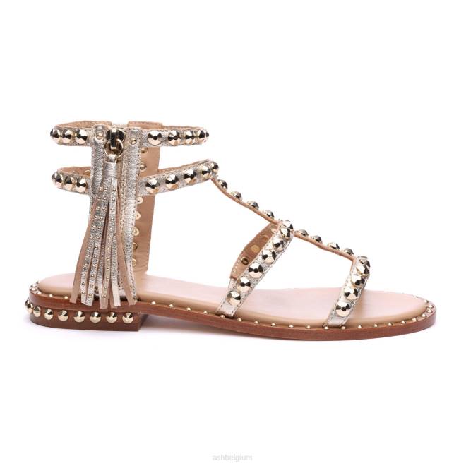power metallic platte sandaal met studs en kwastjes vrouwen licht goud sandalenASH PRRX53