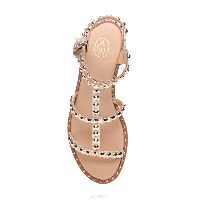 power metallic platte sandaal met studs en kwastjes vrouwen licht goud sandalenASH PRRX53